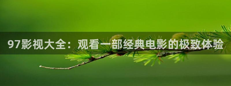 神马影院伦理影院