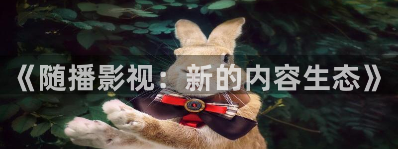 神马我不卡伦理影院