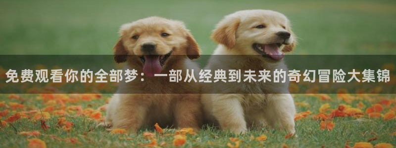 光棍伦理影院在线观看